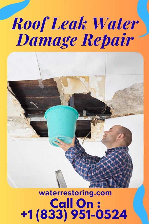 Roof Leak Water Damage Repair in Oak Point, TX