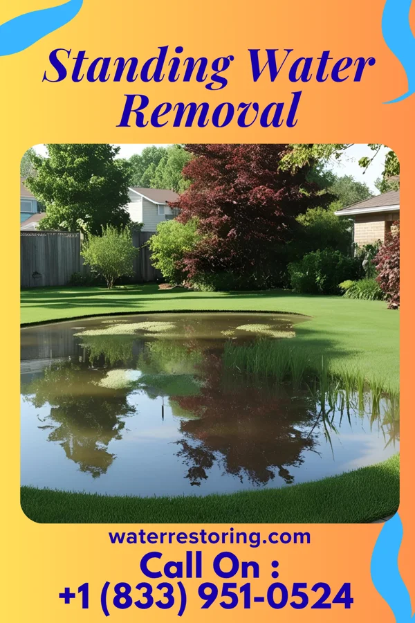 Standing Water Removal in Oak Point, TX